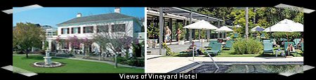 Views of Vineyard Hotel